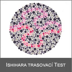 Logo-Ishihara Tracing
